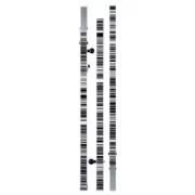 Leica STAFF BAR CODED GKNL4M (4M 3 SECTIONS)